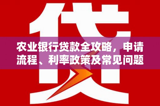 嘉定农业银行贷款全攻略，申请流程、利率政策及常见问题解析