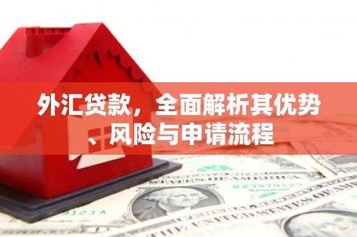 嘉定外汇贷款，全面解析其优势、风险与申请流程