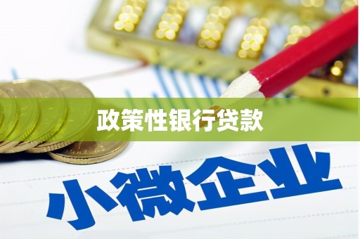嘉定政策性银行贷款