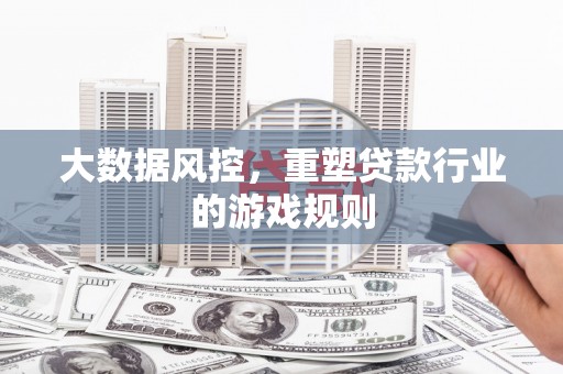 嘉定大数据风控，重塑贷款行业的游戏规则