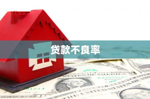 嘉定贷款不良率
