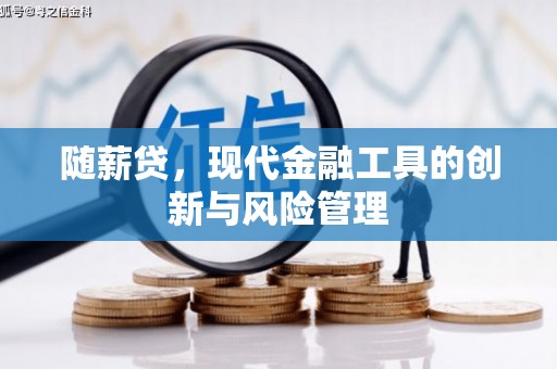 嘉定随薪贷，现代金融工具的创新与风险管理