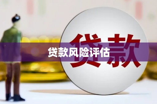 嘉定贷款风险评估