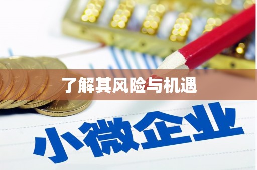 嘉定了解其风险与机遇