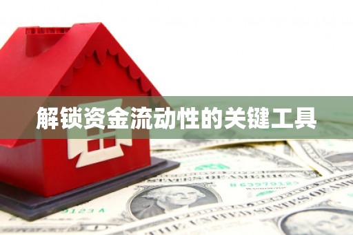 嘉定解锁资金流动性的关键工具