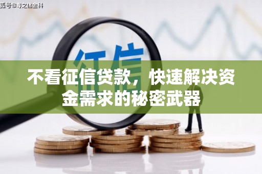 嘉定不看征信贷款，快速解决资金需求的秘密武器