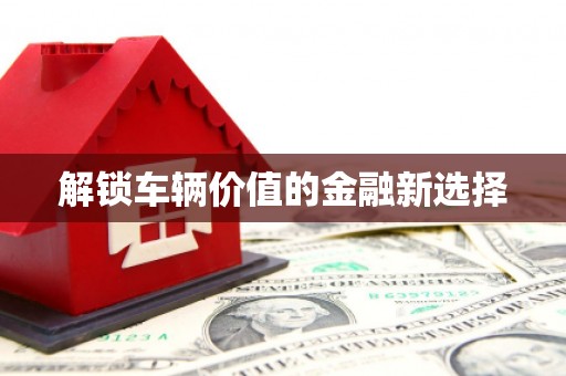 嘉定解锁车辆价值的金融新选择