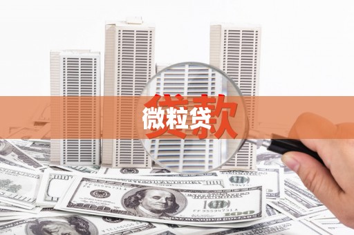 嘉定微粒贷