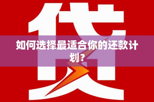 嘉定如何选择最适合你的还款计划？