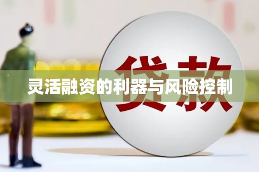 嘉定灵活融资的利器与风险控制