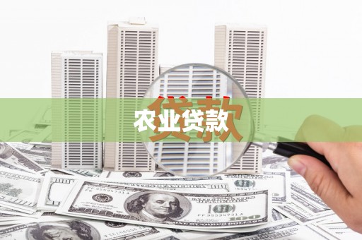 嘉定农业贷款