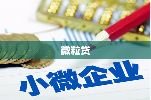 嘉定微粒贷