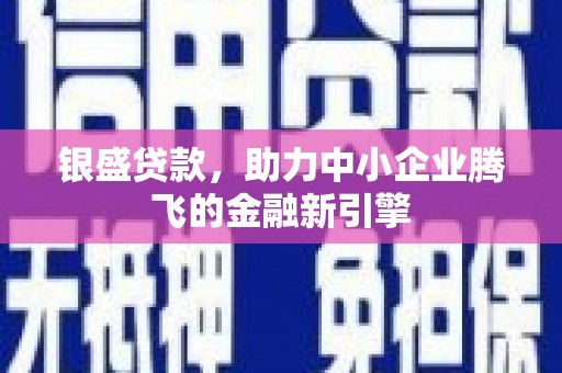 嘉定银盛贷款，助力中小企业腾飞的金融新引擎