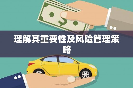 嘉定理解其重要性及风险管理策略