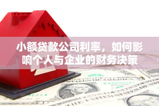 嘉定小额贷款公司利率，如何影响个人与企业的财务决策