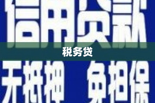 嘉定税务贷