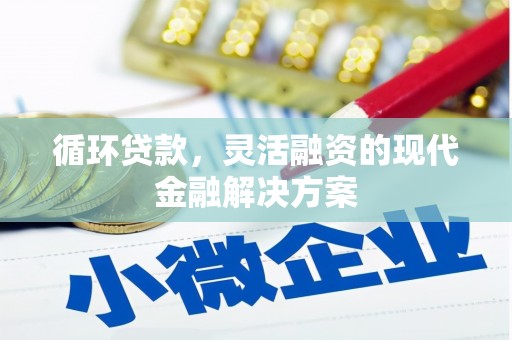 嘉定循环贷款，灵活融资的现代金融解决方案