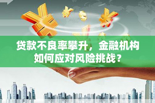 嘉定贷款不良率攀升，金融机构如何应对风险挑战？