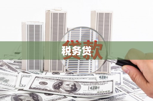嘉定税务贷