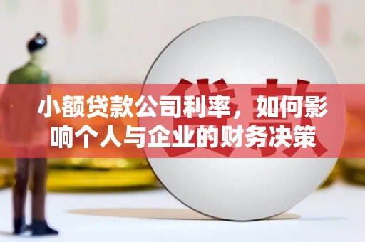 嘉定小额贷款公司利率，如何影响个人与企业的财务决策