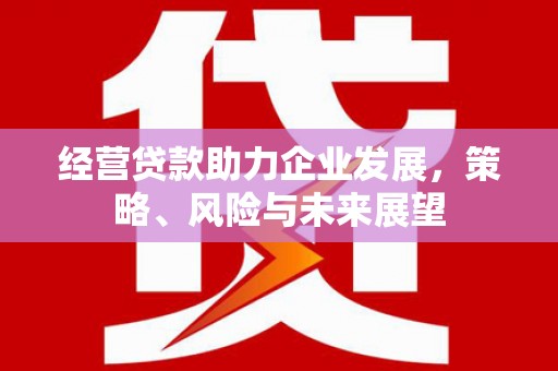 嘉定经营贷款助力企业发展，策略、风险与未来展望