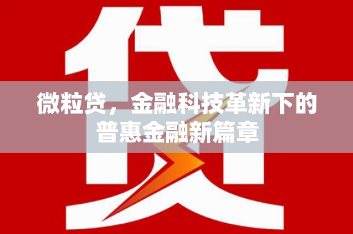 嘉定微粒贷，金融科技革新下的普惠金融新篇章