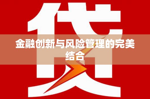 嘉定金融创新与风险管理的完美结合
