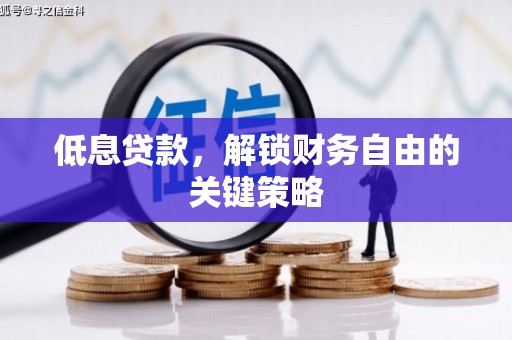 嘉定低息贷款，解锁财务自由的关键策略