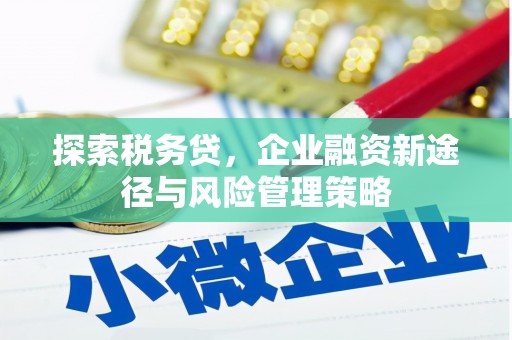 嘉定探索税务贷，企业融资新途径与风险管理策略