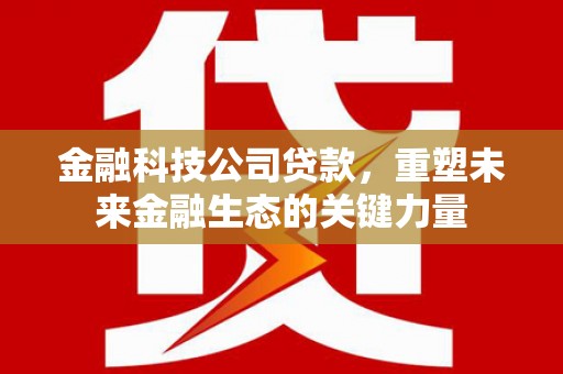 嘉定金融科技公司贷款，重塑未来金融生态的关键力量