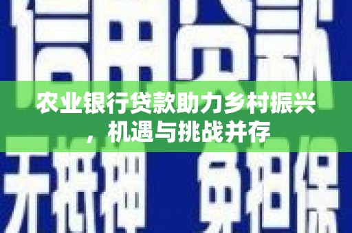嘉定农业银行贷款助力乡村振兴，机遇与挑战并存