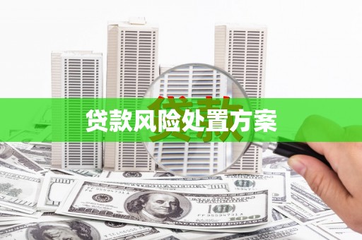 嘉定贷款风险处置方案