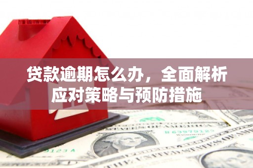 嘉定贷款逾期怎么办，全面解析应对策略与预防措施
