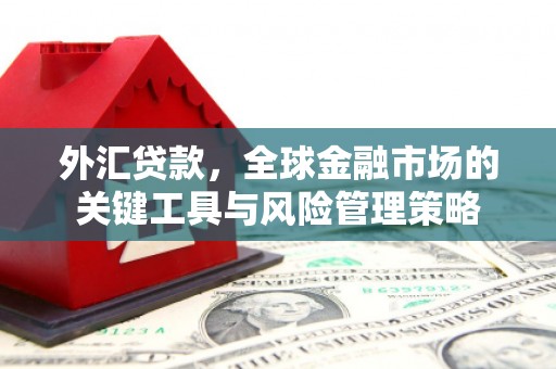 嘉定外汇贷款，全球金融市场的关键工具与风险管理策略