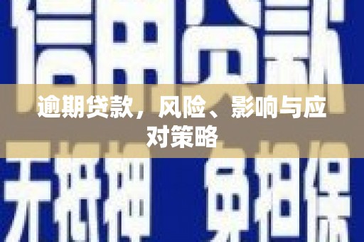 嘉定逾期贷款，风险、影响与应对策略