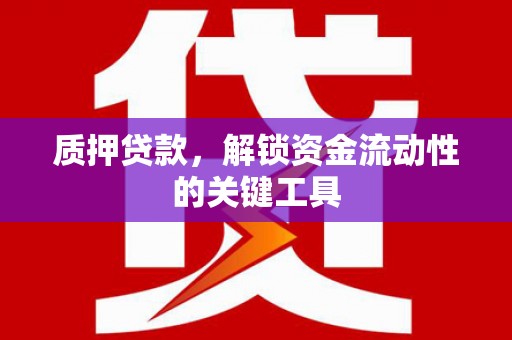 嘉定质押贷款，解锁资金流动性的关键工具