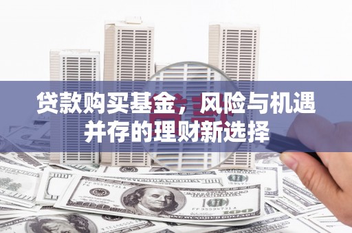 嘉定贷款购买基金，风险与机遇并存的理财新选择