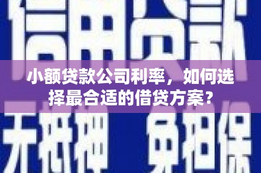 嘉定小额贷款公司利率，如何选择最合适的借贷方案？