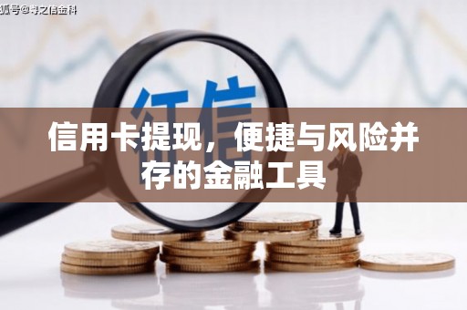 嘉定信用卡提现，便捷与风险并存的金融工具
