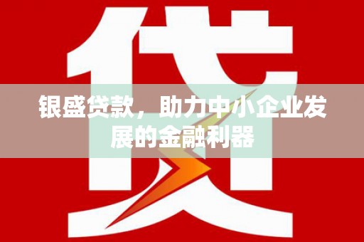 嘉定银盛贷款，助力中小企业发展的金融利器