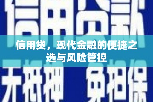 嘉定信用贷，现代金融的便捷之选与风险管控