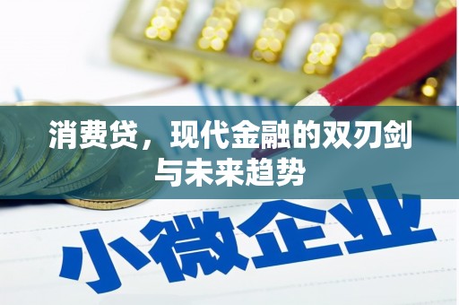 嘉定消费贷，现代金融的双刃剑与未来趋势