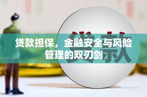 嘉定贷款担保，金融安全与风险管理的双刃剑