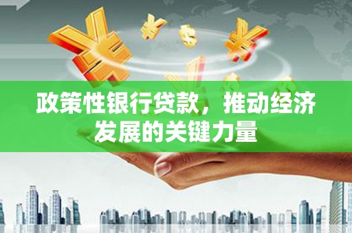 嘉定政策性银行贷款，推动经济发展的关键力量