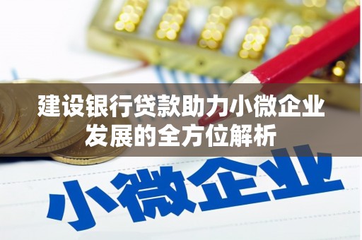 嘉定建设银行贷款助力小微企业发展的全方位解析