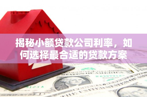 嘉定揭秘小额贷款公司利率，如何选择最合适的贷款方案