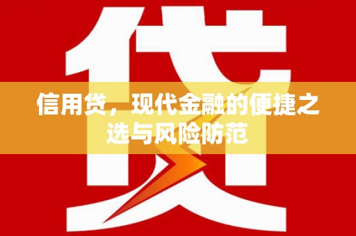 嘉定信用贷，现代金融的便捷之选与风险防范