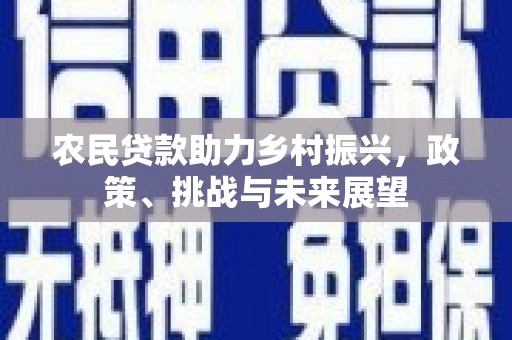 嘉定农民贷款助力乡村振兴，政策、挑战与未来展望