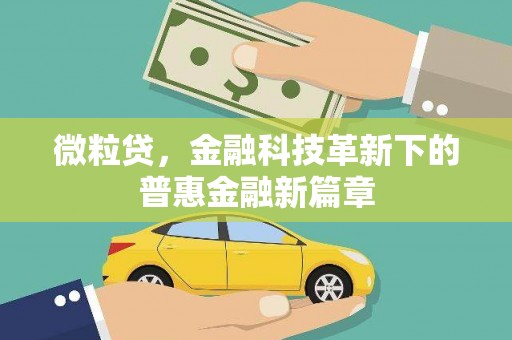 嘉定微粒贷，金融科技革新下的普惠金融新篇章