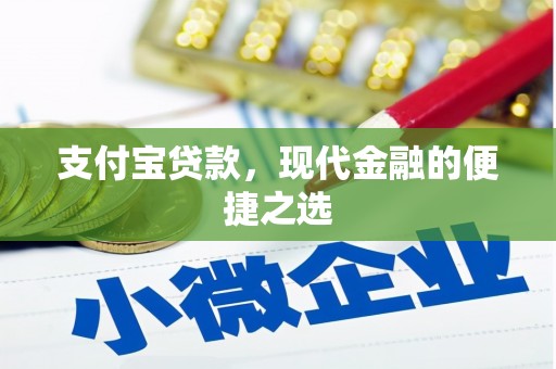 嘉定支付宝贷款，现代金融的便捷之选
